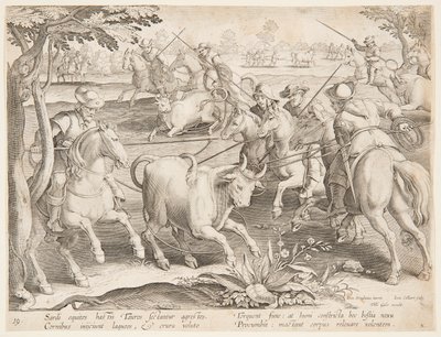 Łapanie dzikich byków autorstwa after Jan van der Straet, called Stradanus