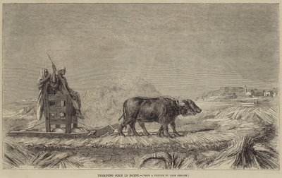 Kukurydza deptana w Egipcie autorstwa after Jean Leon Gerome