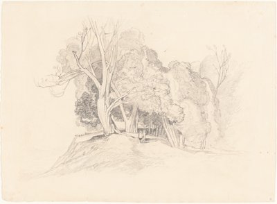 Krajobraz z drzewami autorstwa after John Sell Cotman British 19th Century