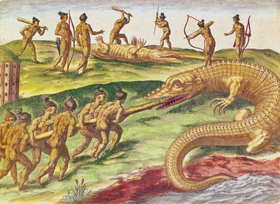 Polowanie na krokodyle, z „Brevis Narratio...”, wydane przez Theodore de Bry, 1591, (kolorowe grawerowanie) autorstwa after Le Moyne, J.Bry