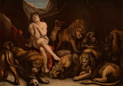 Daniel w lwach Den autorstwa after Peter Paul Rubens
