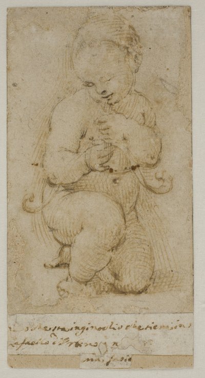 Niemowlę Jan Chrzciciel autorstwa after Raphael