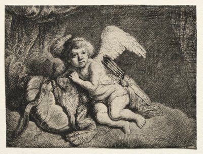 Kupidyn odpoczywa autorstwa after Rembrandt van Rijn