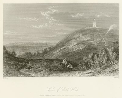 Widok na Leith Hill autorstwa after Thomas Allom