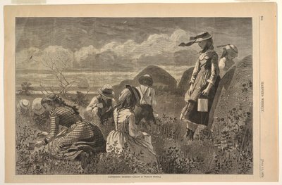 Zbieranie jagód autorstwa Winslow Homer