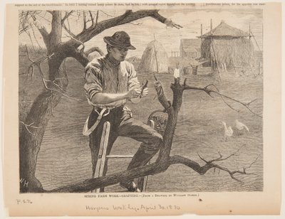 Wiosenna praca na farmie – szczepienie autorstwa Winslow Homer