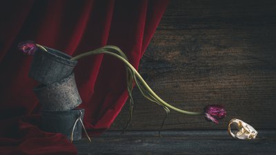 Ciemna kwiatowa czaszka autorstwa alan shapiro