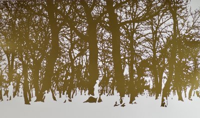 Drzewa życia, 2017, tłoczona na gorąco rolka liści na papierze autorstwa angus hampel