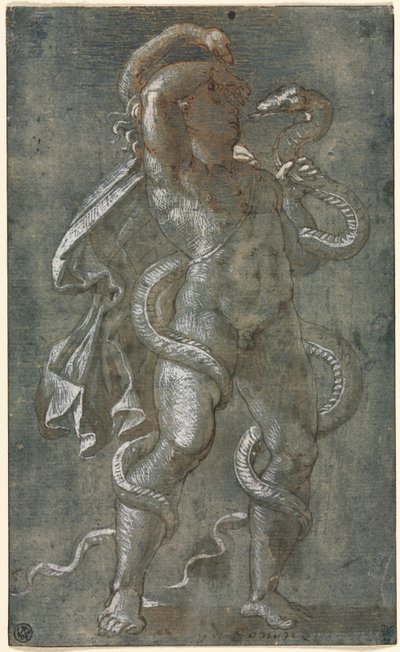 Człowiek spleciony przez dwa węże autorstwa attributed to Giovanni Antonio da Pordenone