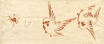 Strona szkicu z ptakami i pająkiem autorstwa attributed to Katsushika Hokusai