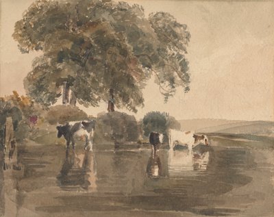 Krowy w basenie autorstwa attributed to Peter DeWint
