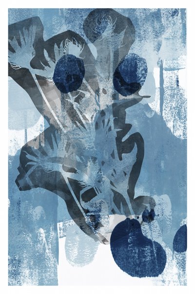 Streszczenie Indigo Botanicals autorstwa cartissi