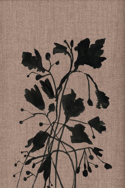 Czarne botaniczne sylwetki autorstwa cartissi