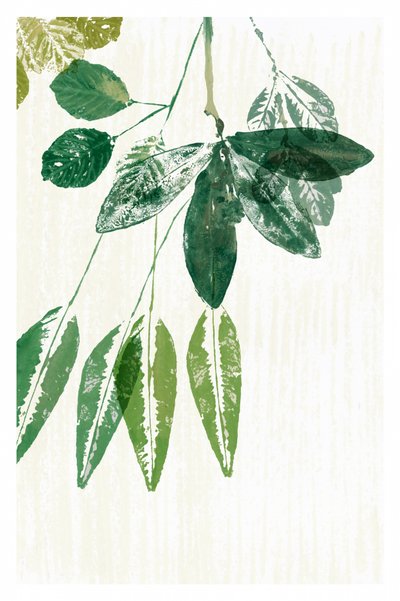  autorstwa cartissi