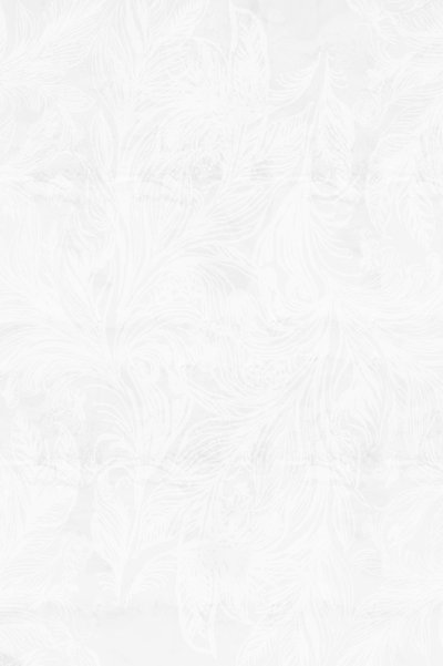 Delikatne wzory szronu autorstwa cartissi