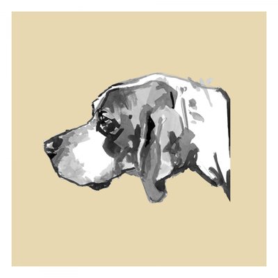 Elegancki profil psa autorstwa cartissi
