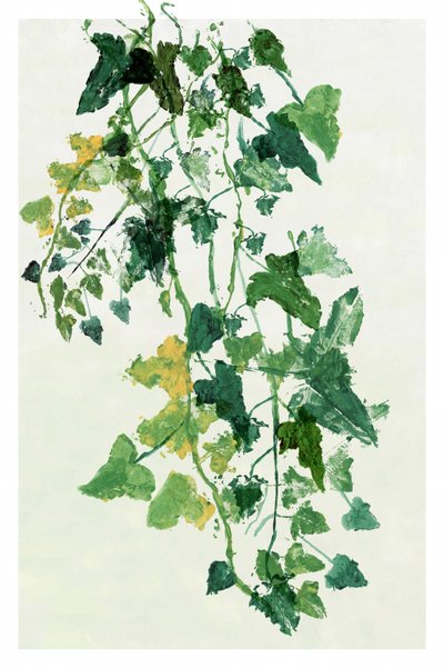  autorstwa cartissi