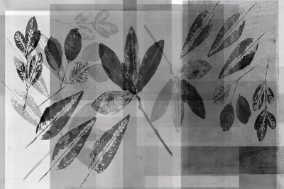 Monochromatyczne warstwy motywów roślinnych autorstwa cartissi