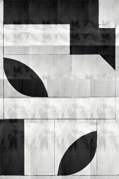 Monochromatyczne kształty organiczne autorstwa cartissi