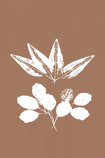 Organiczne sylwetki liści autorstwa cartissi