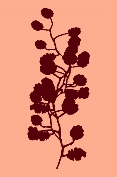 Botaniczna sylwetka brzoskwini autorstwa cartissi