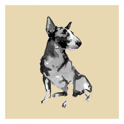 Bull terrier autorstwa cartissi
