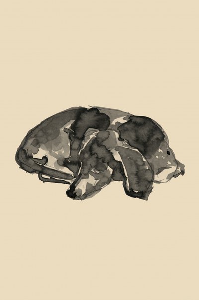  autorstwa cartissi