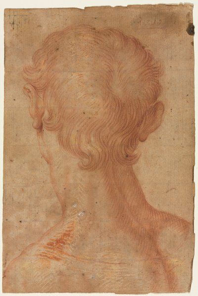 Głowa mężczyzny od tyłu autorstwa copy after Agnolo Bronzino