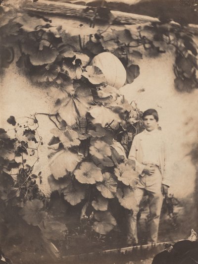 Chłopiec z dynią, 1854 (zdjęcie) autorstwa freres Varin