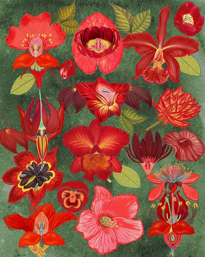  autorstwa giovanna nicolo
