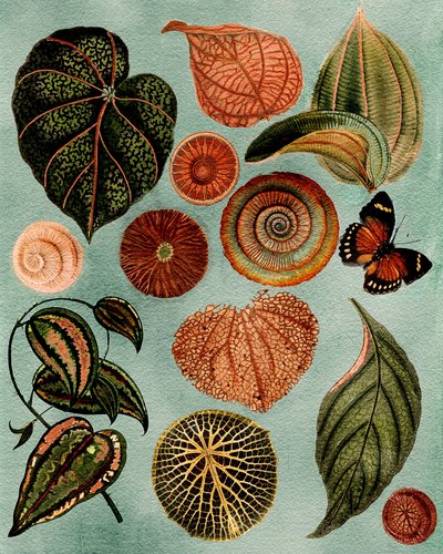  autorstwa giovanna nicolo