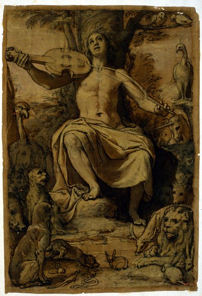 Orfeusz czarujący zwierzęta muzyką skrzypiec. Rysunek Federico Zuccari (1542-1609). autorstwa or Zuccaro Federico Zuccari