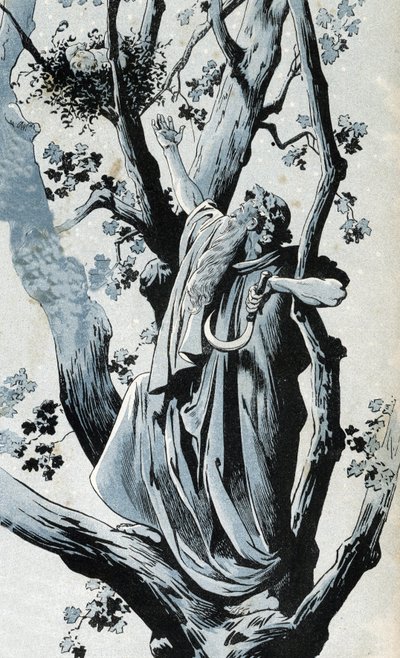 Galijski druid, wspinający się po dębie, by zerwać jemiołę swoją serpą, odkrywa tam małą dziewczynkę. w „”Francja, jego historia opowiedziana przez G. Montorgueila, sfotografowana przez Joba”” 1896. Zbiory prywatne. autorstwa pseudonym for Onfray de Breville Jacques Job