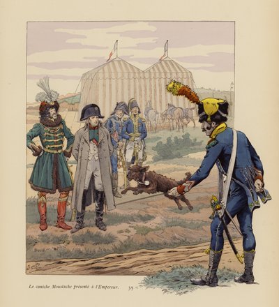 Pies Moustache przedstawiony Napoleonowi (kolorowa litografia) autorstwa pseudonym for Onfray de Breville Jacques Job
