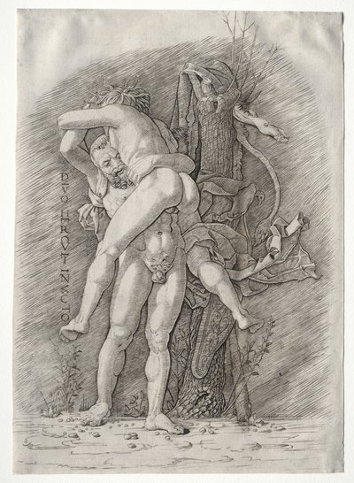 Herkules i Anteusz autorstwa school of Andrea Mantegna