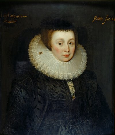 Portret lady Emily Howard, początek XVII wieku autorstwa the Younger School of Marcus Gheeraerts