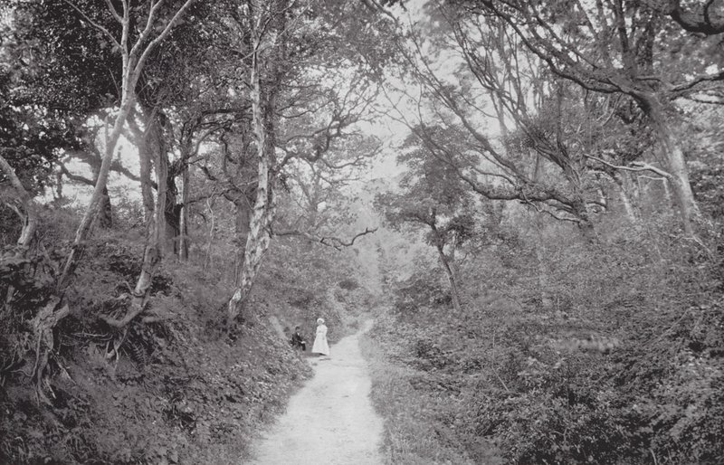 Fairlight Glen (zdjęcie czarno-białe) autorstwa (after) English photographer