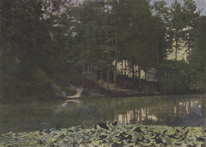 Lasek Buloński, Zalew (kolorowe zdjęcie) autorstwa (after) French Photographer
