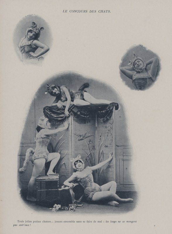Konkurs kotów (zdjęcie czarno-białe) autorstwa (after) French Photographer