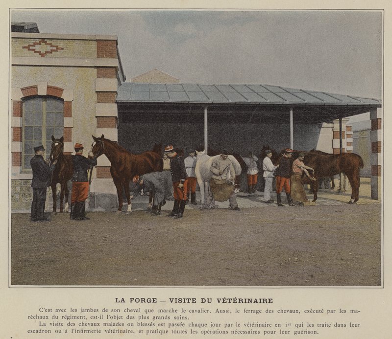 La Forge, Wizyta Weterynarza (kolorowe zdjęcie) autorstwa (after) French Photographer
