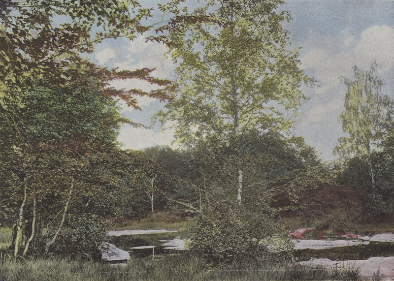 La mare aux Fees (kolorowe zdjęcie) autorstwa (after) French Photographer