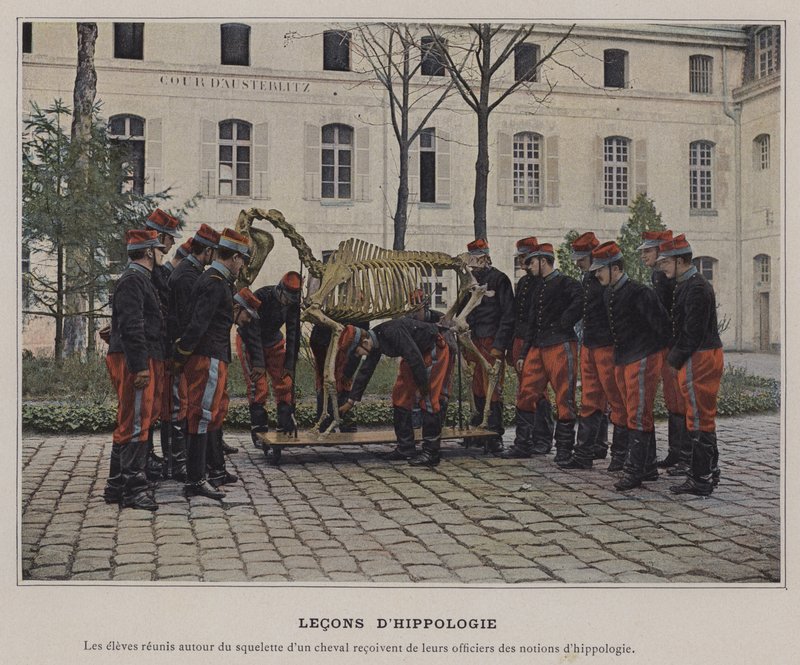 Lekcje Hipologii (kolorowe zdjęcie) autorstwa (after) French Photographer