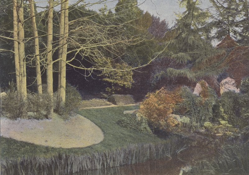 Nantes, Ogród Botaniczny (kolorowe zdjęcie) autorstwa (after) French Photographer