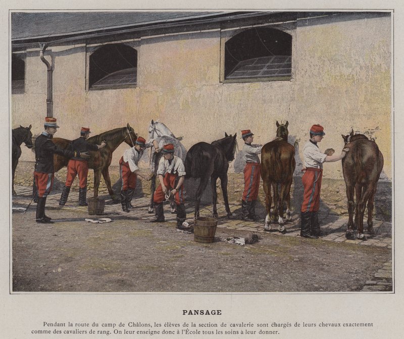 Pansage (kolorowe zdjęcie) autorstwa (after) French Photographer