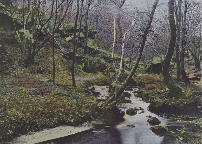Vaux de Cernay, Les Cascades (kolorowe zdjęcie) autorstwa (after) French Photographer