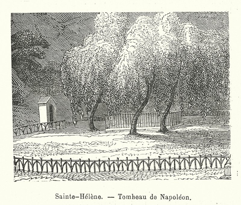 Sainte-Helene, grobowiec Napoleona (rycina) autorstwa (after) French School