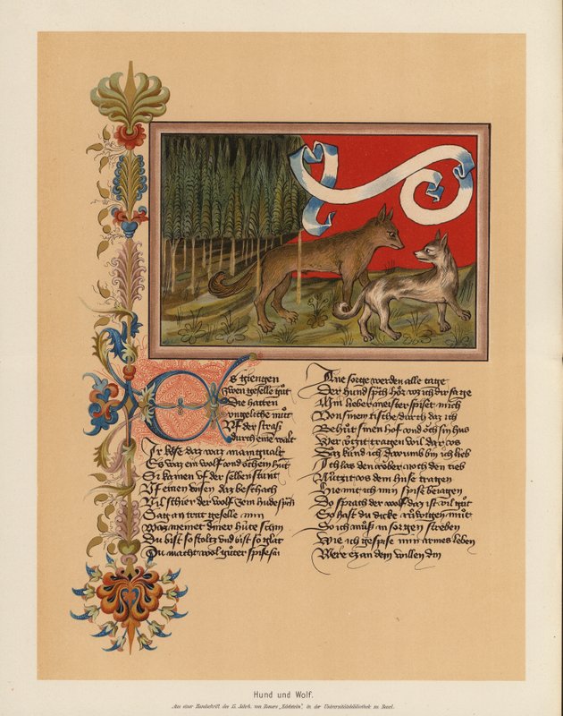 Pies i wilk (kolorowa litografia) autorstwa (after) German School