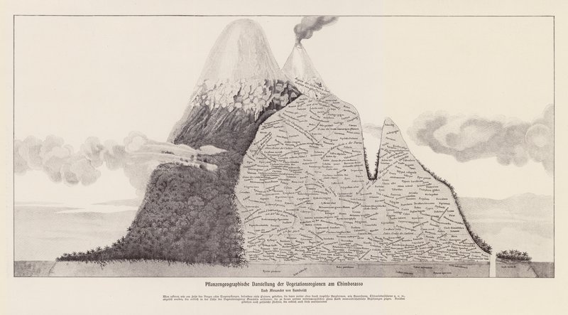 Regiony wegetacyjne Chimborazo, Ekwador (litografia) autorstwa (after) German School