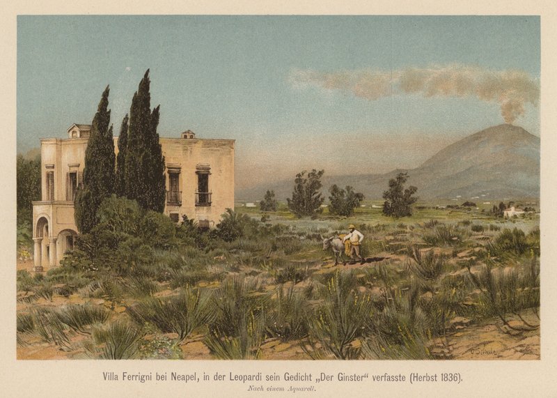 Villa Ferrigni, niedaleko Neapolu (kolorowa litografia) autorstwa (after) German School