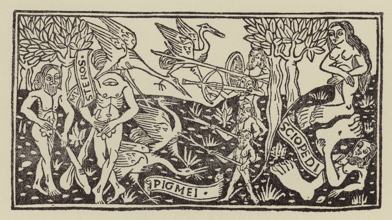 Wspaniali ludzie i potwory Indii (drzeworyt) autorstwa (after) Italian School